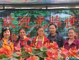 2013年三八节女教职工参观花卉大观园（2013.3.8)